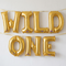 Gold WILD ONE balloons strung with gold ribbon across a white wall with soft light and shade, in square format