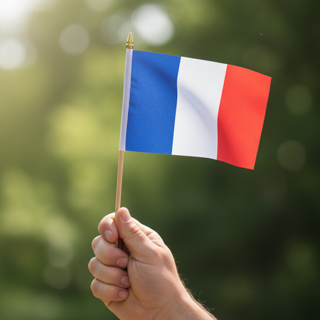 Hand Waving French Flag