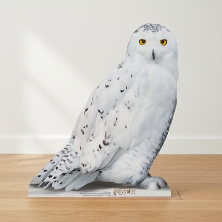 Hedwig Cardboard Cutout - Wood Floor White Wall