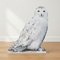 Hedwig Cardboard Cutout - Wood Floor White Wall