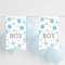 It's a Boy Bunting Extreme Close Up