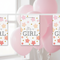 It's a Girl Bunting Extreme Close Up