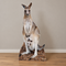 Life-size kangaroo and joey cardboard stand-up