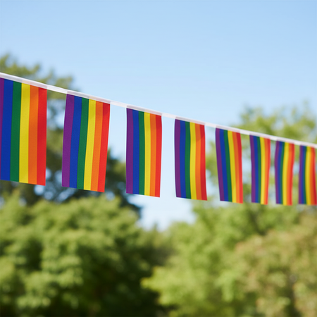 Long Rainbow Fabric Bunting Strung Outside