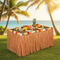 Natural Raffia Table Skirting with Tropical Party Background