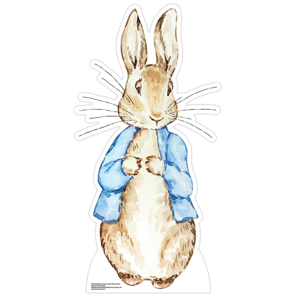 Kid's Peter Rabbit Classic Costume | World Book Day | Storybook ...
