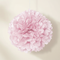 Pink Pom Pom Hanging Against Neutral Wall