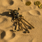 Pirate Keys Overhead on Sand