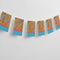 Bollywood Flag Interior Bunting - 2.4m