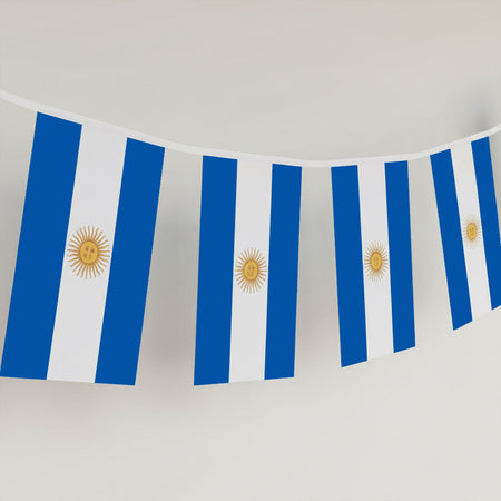 Argentinian Flag Interior Bunting - 2.4m