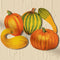 Autumn Harvest Cutout Wall Decorations - 40.6cm - Pack of 5
