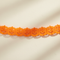 Pumpkin Garland Cream Background