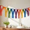 Rainbow Macrame Fringe Garland Boho Lifestyle Setting