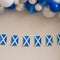 St Andrew's Paper Flag Bunting - 2.4m
