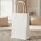 White Paper Party Bags - 22cm - Each