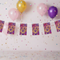 Song Contest Bunting - No Party Hats