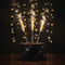 Three Ice Fountains Lit on a Celebration Cake