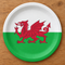 Welsh dragon plate close-up from above on a wood table, in square format