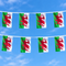 Welsh polyester flag bunting hung outdoors against a blue sky, in square format
