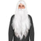 Wizard Wig and Long Beard