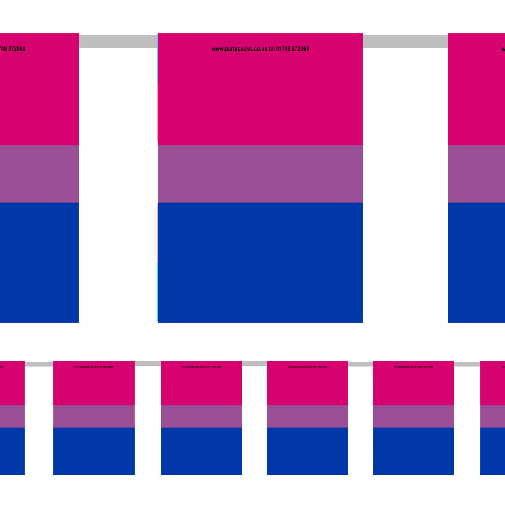 Bisexual Pride Flag Paper Bunting - 2.4m