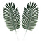 Tropical Fern Leaves - 60cm - Pack of 2