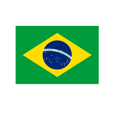 Brazilian Polyester Fabric Flag 5ft x 3ft