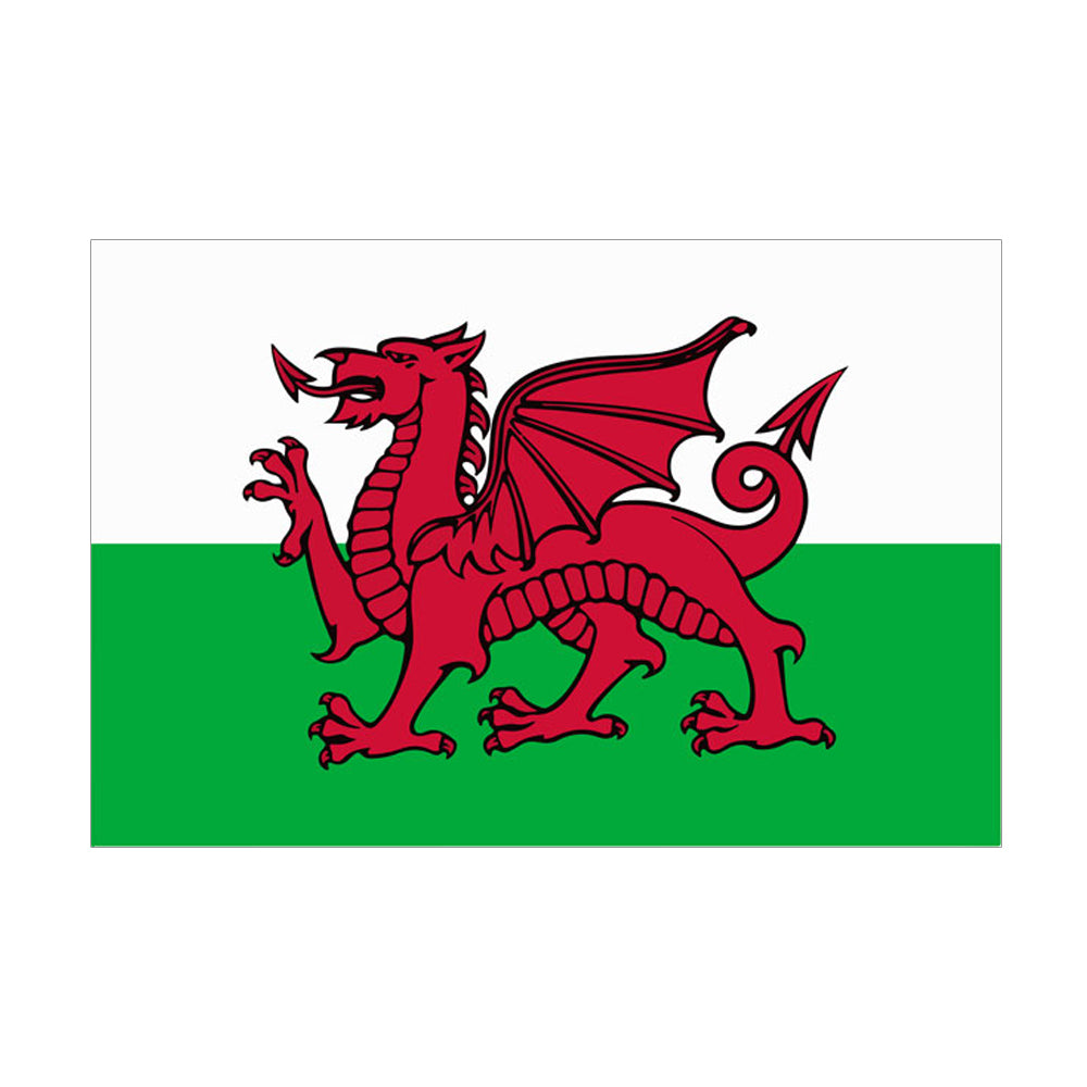 Giant Welsh Cloth Flag 8ft x 5ft