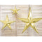 Gold Star Hanging Decoration - 30cm - Each