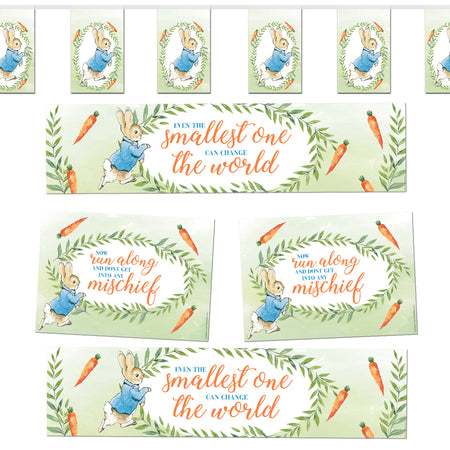 Peter Rabbit Decoration Party Pack