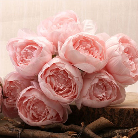 Light Pink Peony Bunch - 9 Stems - 45cm