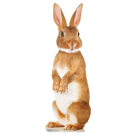 Cute Bunny Rabbit Cardboard Cutout Decoration - 90cm