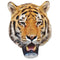 Tiger Card Mask