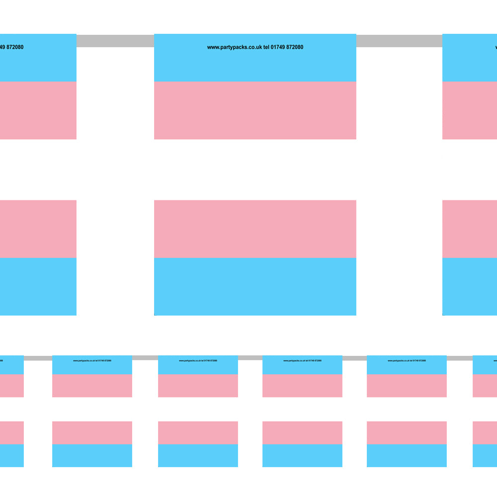 Transgender Pride Flag Paper Bunting - 2.4m