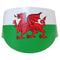 Welsh Flag Peak Hat - Each