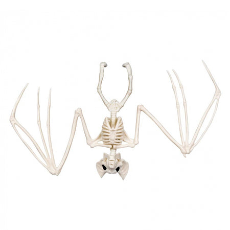 Bat Skeleton Prop - 30cm