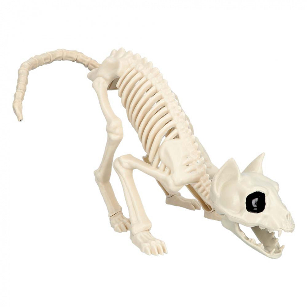Cat Skeleton Prop - 51cm