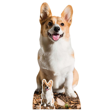 Cute Corgi Lifesize Cardboard Cutout with Mini Cutout - 76cm