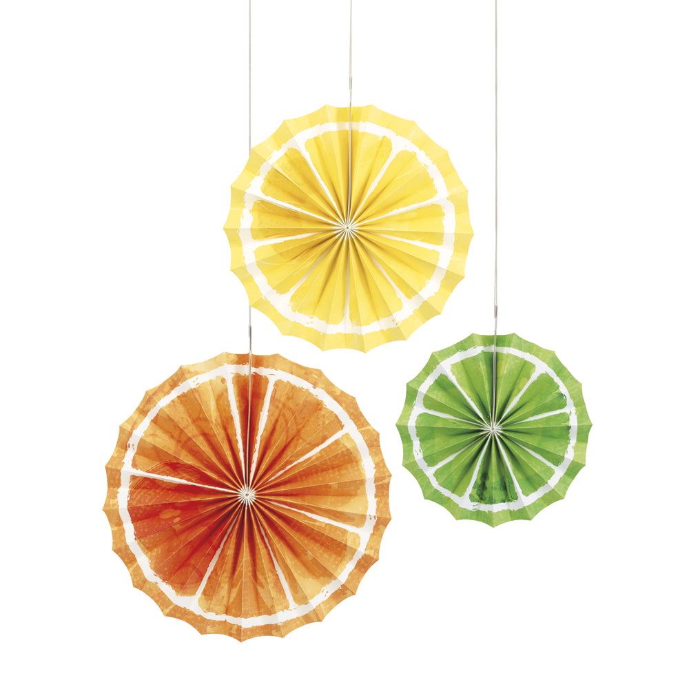 Citrus Fruit Paper Tissue Fans - Pack of 3