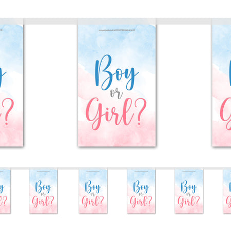 Gender Reveal 'Boy or Girl' Bunting - 2.4m