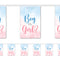 Gender Reveal 'Boy or Girl' Bunting - 2.4m