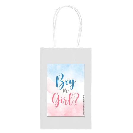 Gender Reval 'Boy or Girl' Party Bags - Pack of 4