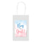 Gender Reval 'Boy or Girl' Party Bags - Pack of 4