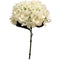 Large Ivory Single Short Stem Hydrangea - 34cm