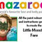Little Monster Face Painting Guide