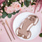 Rose Gold Hen Party Penis Shaped Paper Plates - 26cm - Pack of 6