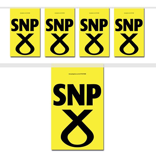 SNP Flag Interior Bunting - 2.4m