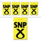 SNP Flag Interior Bunting - 2.4m