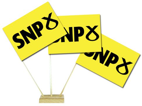 SNP Paper Table Flags 15cm on 30cm Pole