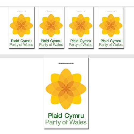 Plaid Cymru Flag Interior Bunting - 2.4m